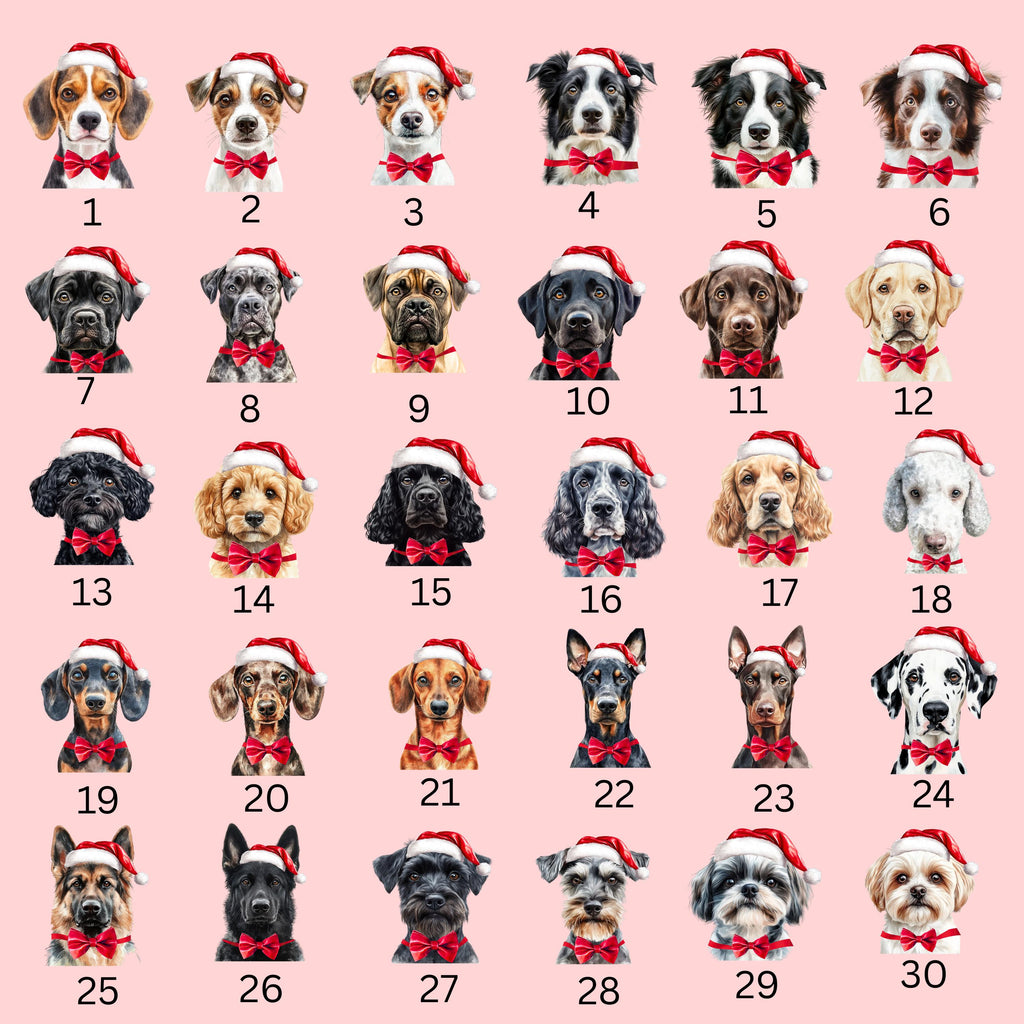 Personalized Dog Christmas Sack, Merry Woofmas Present Sack