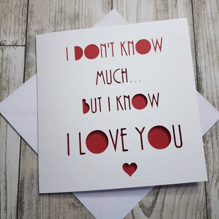 Papercut Anniversary Card: I Don't Know Much But I Know I Love You, Valentine's Day Card