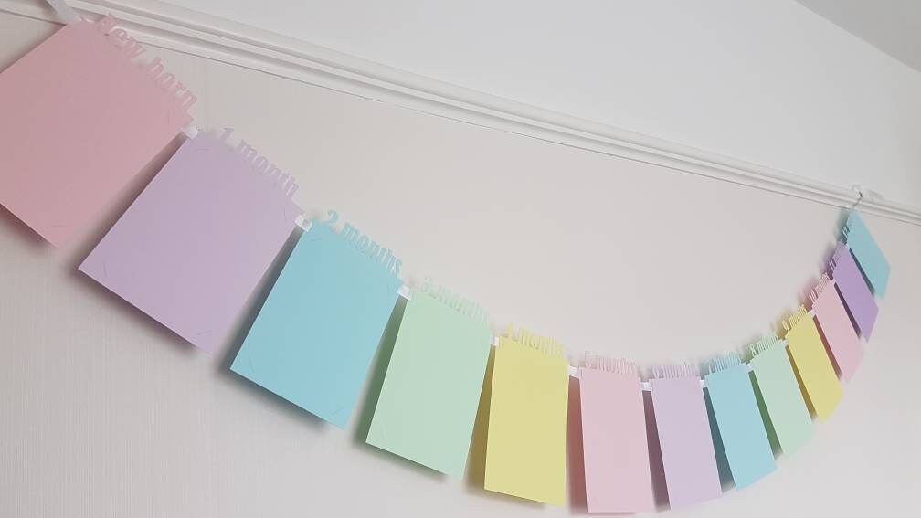 Rainbow Baby Photo Banner: First Year Milestone Bunting